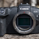 Image for article titled Canon's New Sensor Captures Full-Color Images in Near Total Darkness